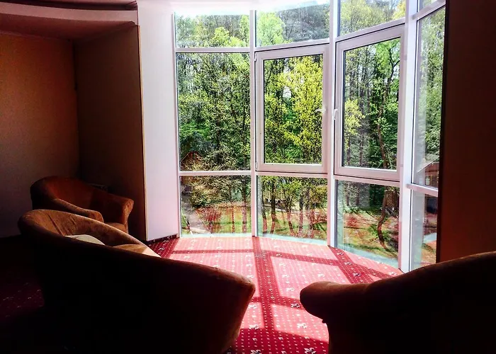 Solotvyno Resort Ξενοδοχείο *