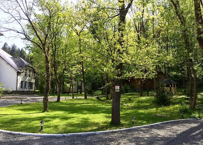 Solotvyno Resort