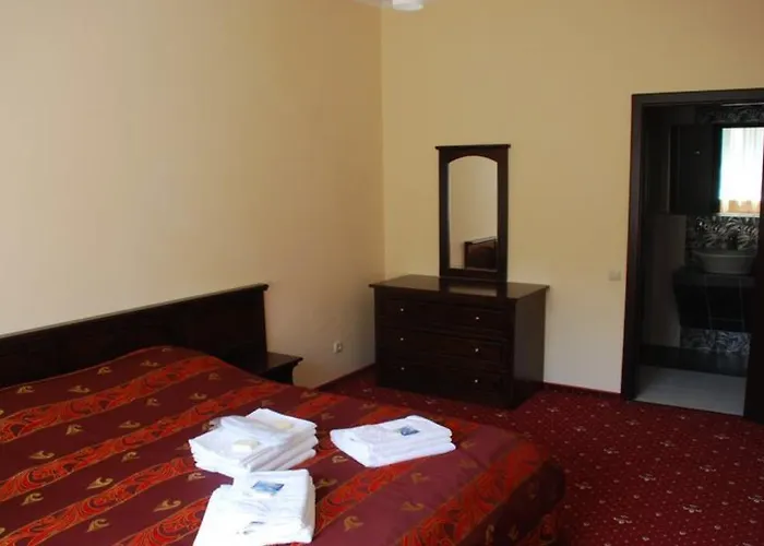 Solotvyno Resort Ξενοδοχείο *