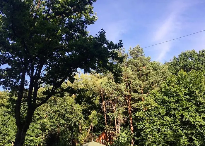 Solotvyno Resort *