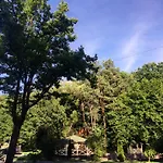 Solotvyno Resort *